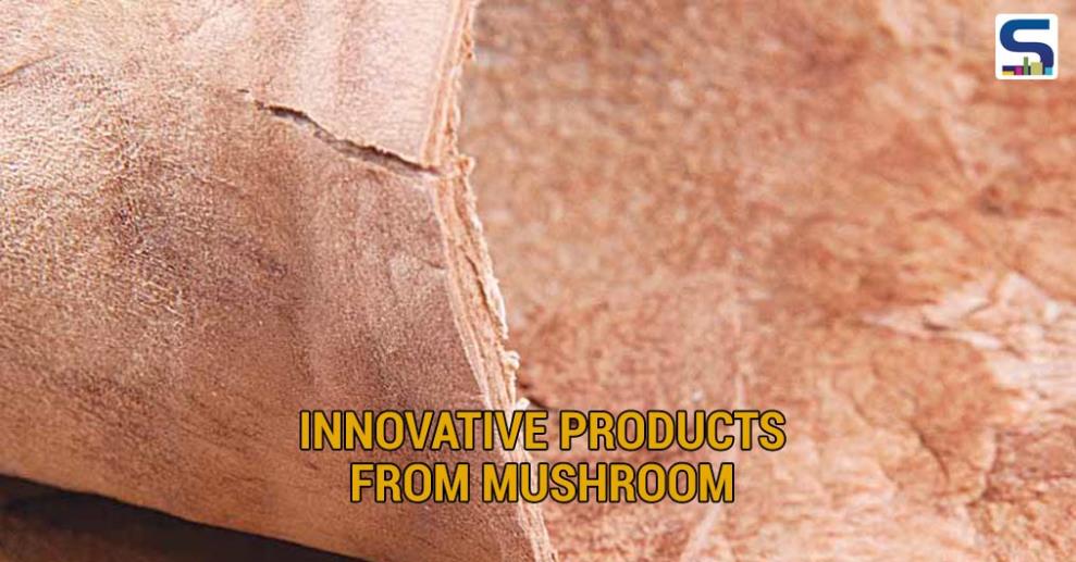 Phil Ross, a biologist has been experimenting with fungi in his art practice for almost two decades. By introducing mushroom tissue into molds filled with pasteurized sawdust and allowing the fungus to digest the material.