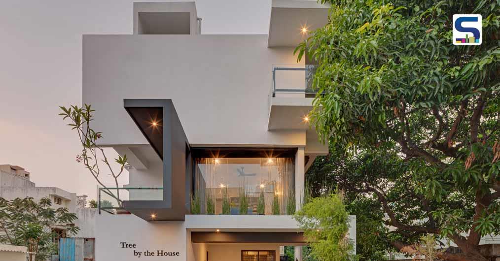 Tree By the House | Ashwin Architects
