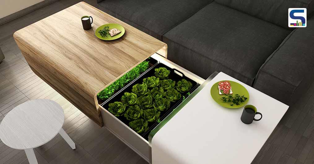 A Unique Coffee Table With Hidden Home Gardening System For Smaller Spaces