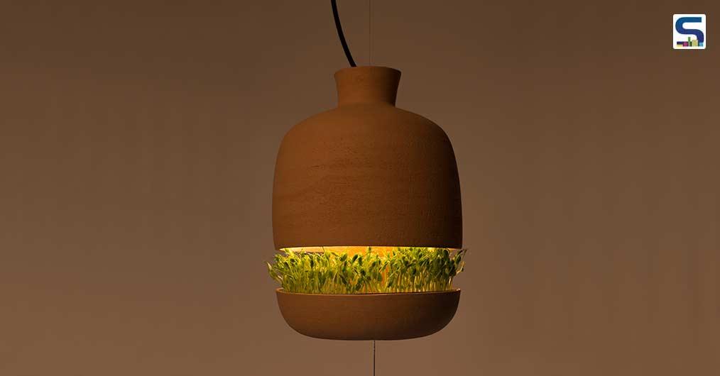 A Lamp and Seed Germinator by Benditas Studio