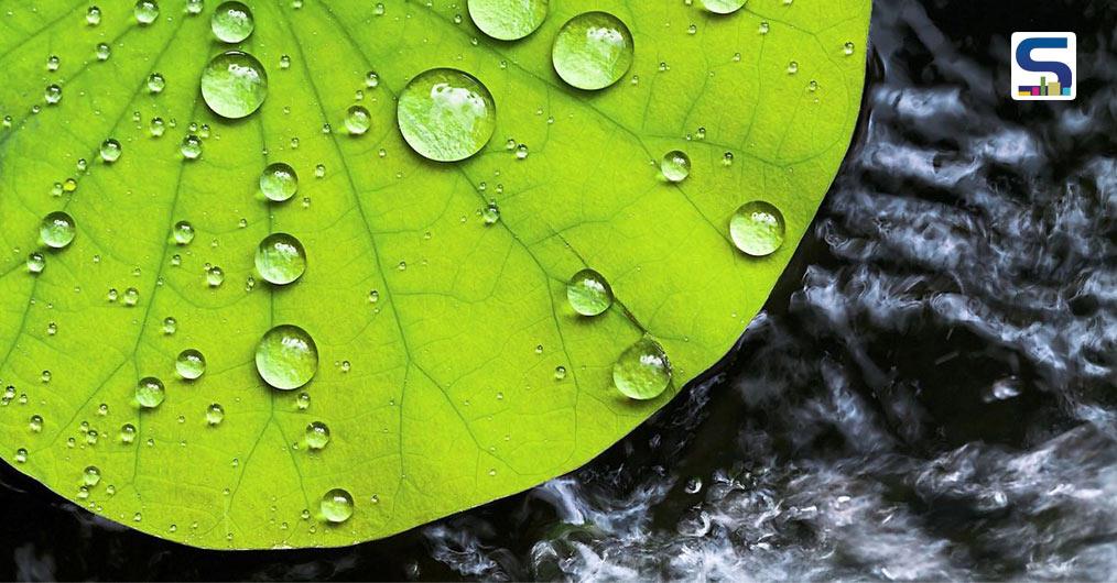 New Self-Cleaning BioPlastic Inspired By Lotus Leaf; Help Curbing Plastic Pollution | Australia | SR Material Update