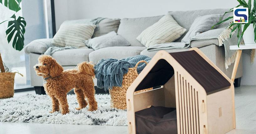 Want to Know About Architects Involved in Making Pet furniture? Know Here!
