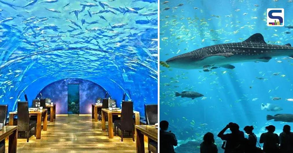 Hyderabad Is Ready To Become The Proud Home of Indias Biggest Aquarium | SR NEWS UPDATE