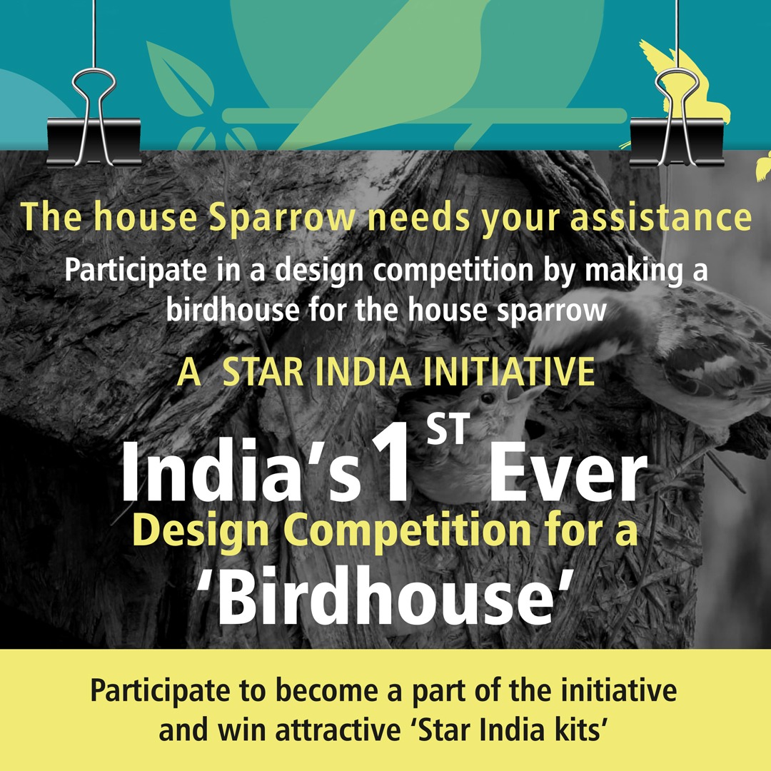 Build a Bird House Competition