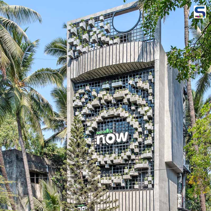 Enjoy A Scoop of Nature Amidst Bustling Mumbai City | Drink Water Design Studio | Naturals Now