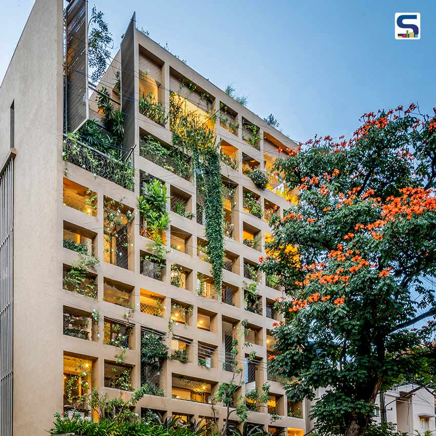 Air-Purifying Plants Act As Shady Curtains For The Davis Road Apartment in Bangalore | DS2 architecture