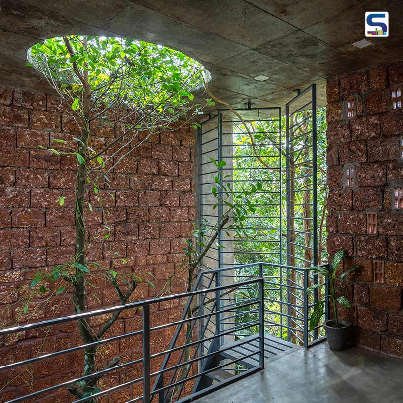 A Budgeted Home Designed Around An Existed Tree In Kerala | A Line Studio