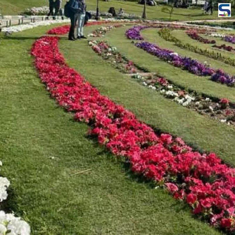 G-20 Summit: Delhi will be adorned with over 10 lakh exotic potted plants