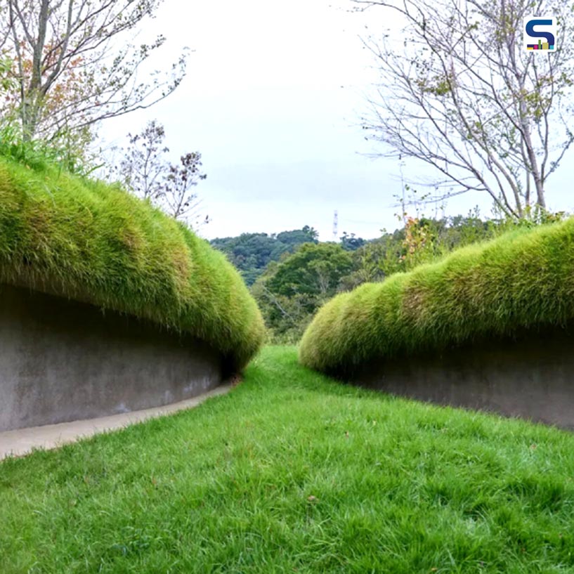 A Fantasy-Like Underground Library In Japan Enveloped With Fields Of Grass | A Bookworms Paradise