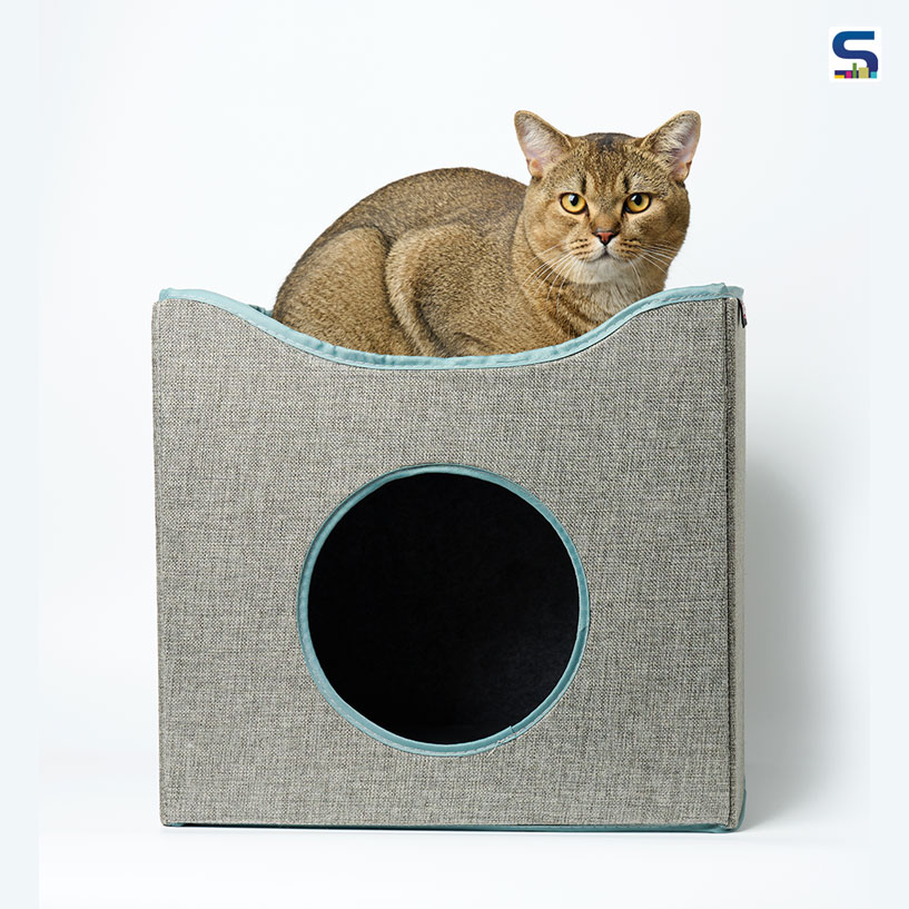 Want to Know About Architects Involved in Making Pet furniture? Know Here!